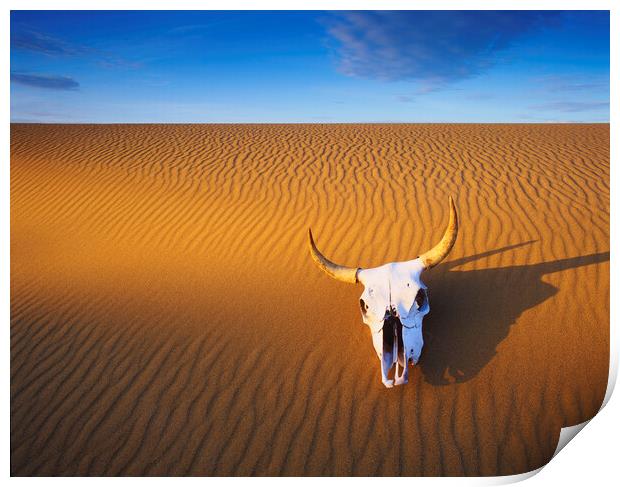 Cow Skull in the Sand Print by Dave Reede