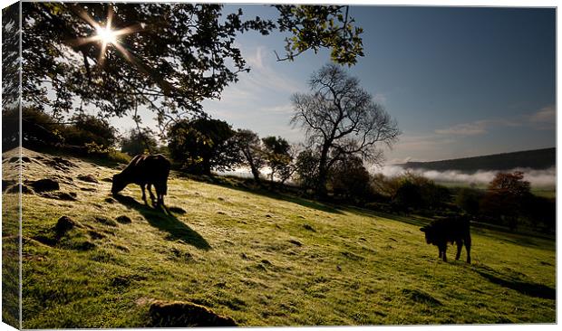 Grazing Canvas Print by Creative Photography Wales