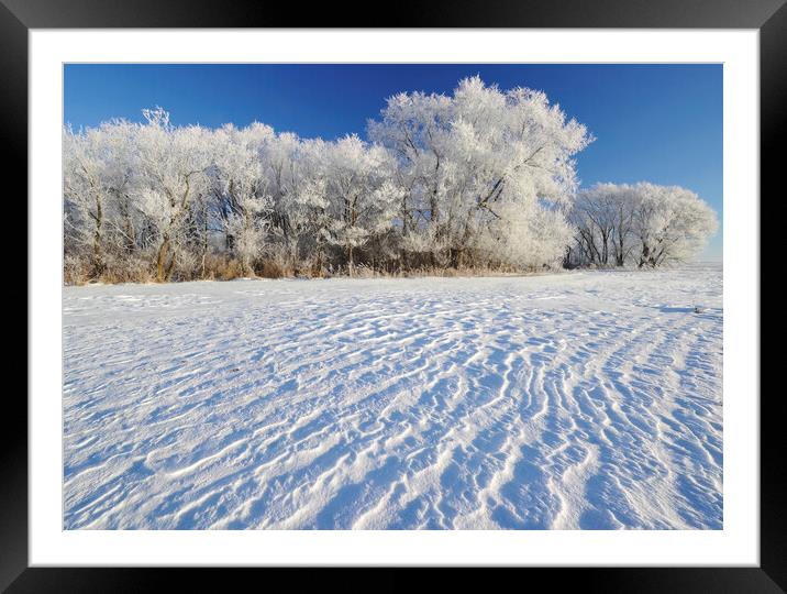 Frosty Day Framed Mounted Print by Dave Reede