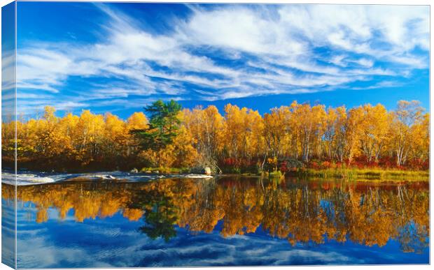 Autumn Along the Whiteshell River Canvas Print by Dave Reede