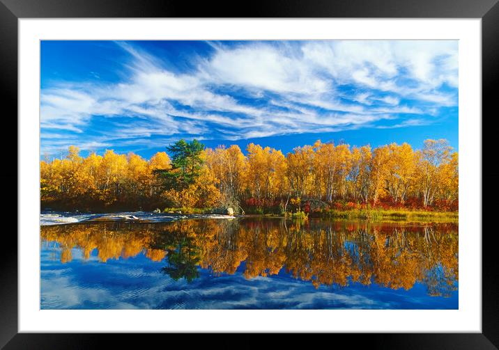Autumn Along the Whiteshell River Framed Mounted Print by Dave Reede