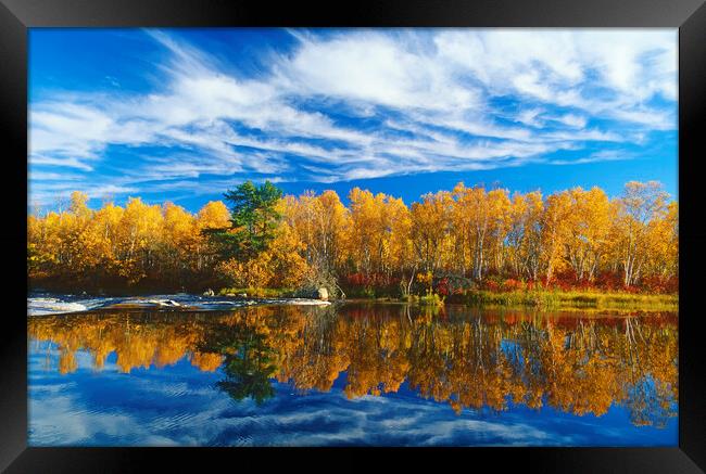 Autumn Along the Whiteshell River Framed Print by Dave Reede