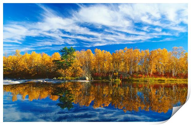 Autumn Along the Whiteshell River Print by Dave Reede