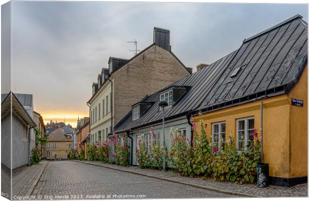 picturesque alley with  hollyhocks in the sunset in Lund Canvas Print by Stig Alenäs