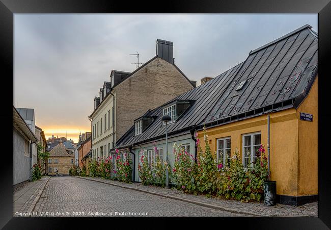 picturesque alley with  hollyhocks in the sunset in Lund Framed Print by Stig Alenäs