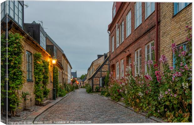 scenic alley with hollyhocks in the old town of Lund Canvas Print by Stig Alenäs