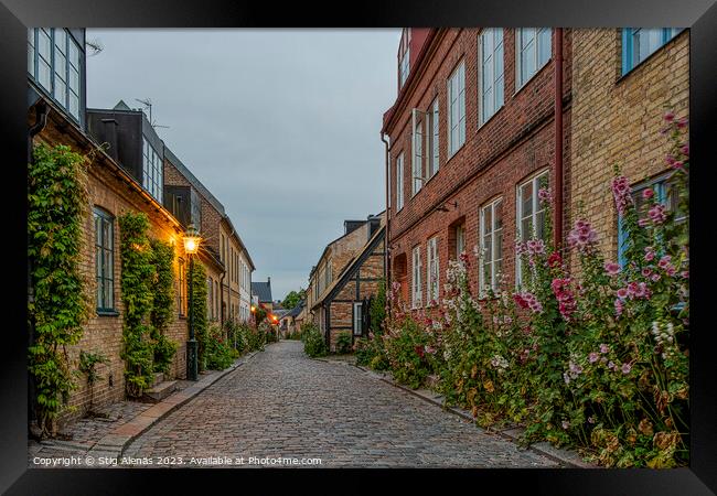 scenic alley with hollyhocks in the old town of Lund Framed Print by Stig Alenäs