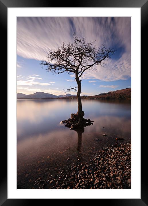Lone tree in water Framed Mounted Print by Grant Glendinning