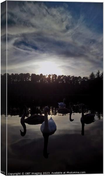Swans Farewell Tranquil Twilight Lake & Forest  Canvas Print by OBT imaging