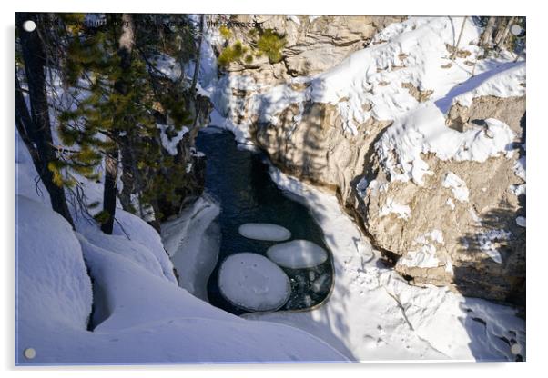 Kootenay River Numa Creek's Round Ice Sheet Acrylic by rawshutterbug 