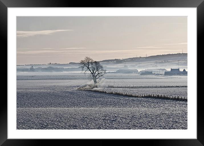 Winter Mist Framed Mounted Print by Andrew Beveridge