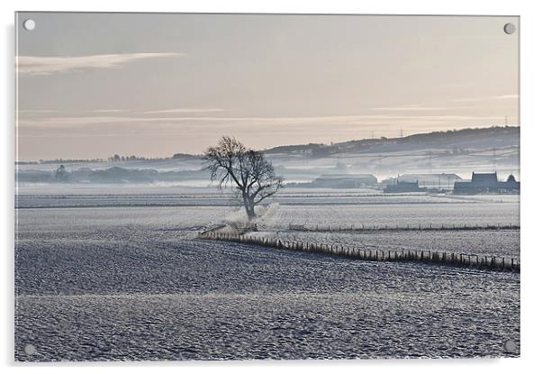 Winter Mist Acrylic by Andrew Beveridge