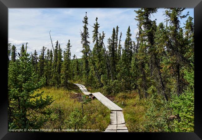 Wooden walkway on Granite Tors Trail Framed Print by Andreas Himmler