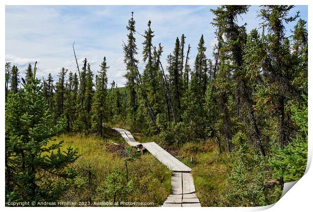 Wooden walkway on Granite Tors Trail Print by Andreas Himmler