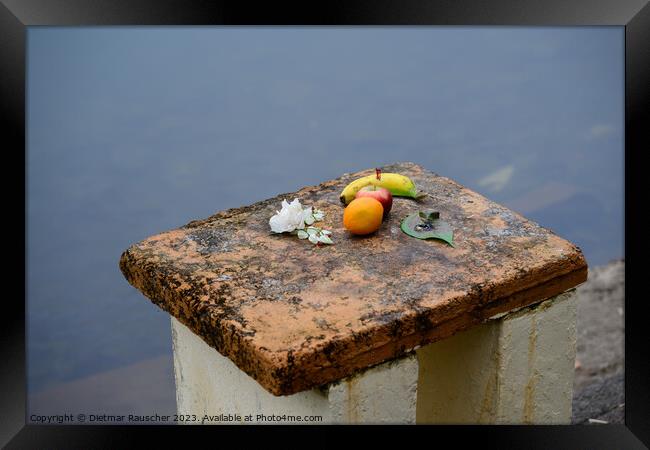 Offering at Ganga Talao Grand Bassin Lake in Mauritius Framed Print by Dietmar Rauscher