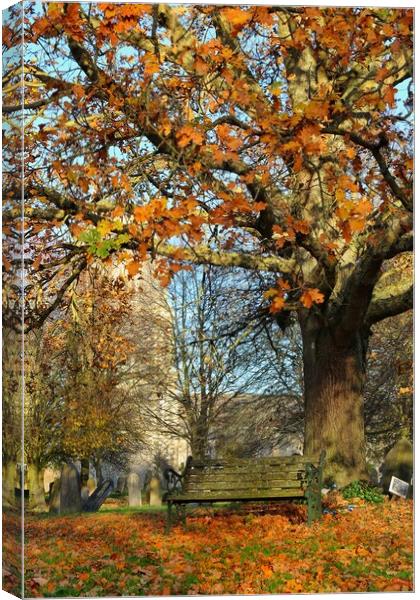 Autumnal colours whilst enjoying the view Canvas Print by Tony lopez