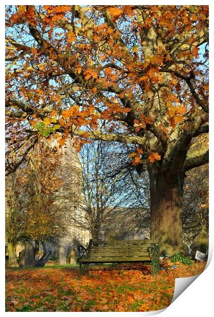 Autumnal colours whilst enjoying the view Print by Tony lopez