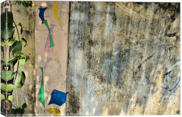 Abstract texture Canvas Print by Kevin Plunkett