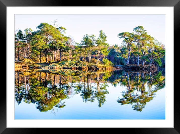 Tarn Hows Reflections: English Lake District Framed Mounted Print by Tim Hill