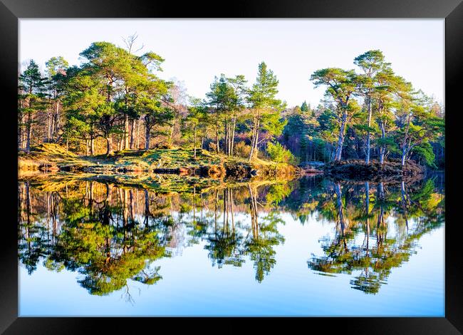 Tarn Hows Reflections: English Lake District Framed Print by Tim Hill
