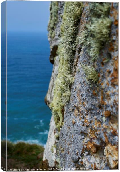Lichens High Above the Pacific Canvas Print by Andreas Himmler