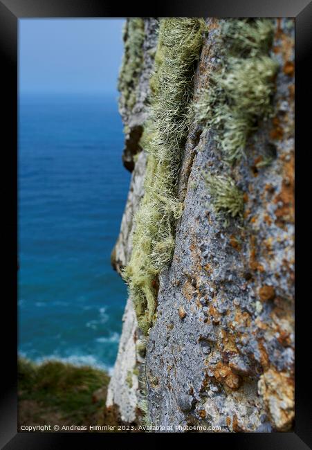Lichens High Above the Pacific Framed Print by Andreas Himmler