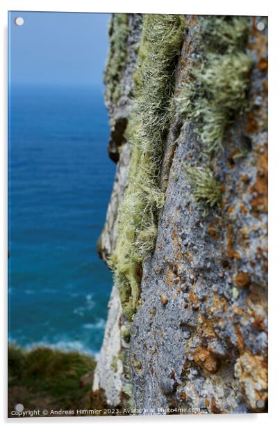 Lichens High Above the Pacific Acrylic by Andreas Himmler