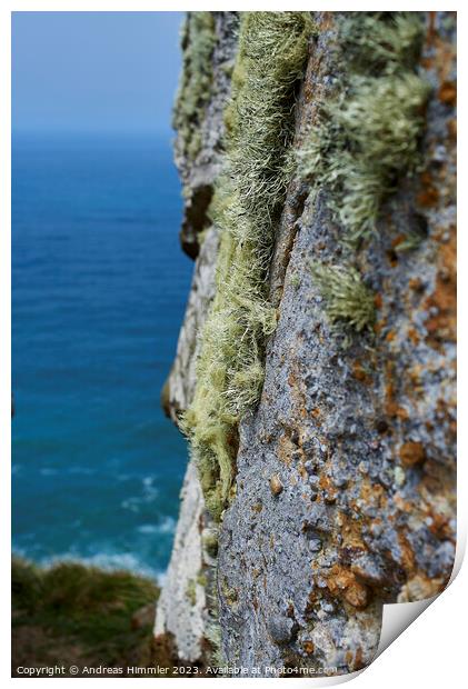 Lichens High Above the Pacific Print by Andreas Himmler