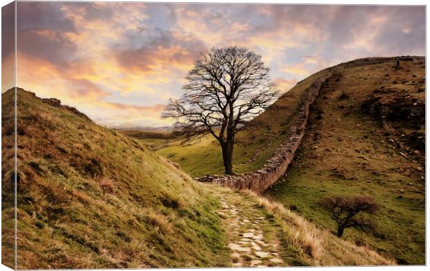 The famous sycamore gap at Hadrians wall Canvas Print by Guido Parmiggiani