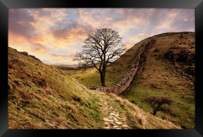The famous sycamore gap at Hadrians wall Framed Print by Guido Parmiggiani