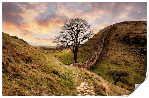 The famous sycamore gap at Hadrians wall Print by Guido Parmiggiani