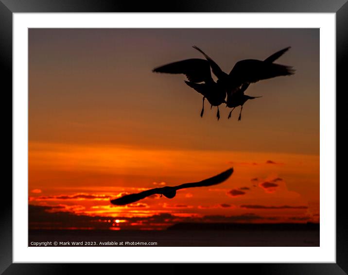 Flight into the Night. Framed Mounted Print by Mark Ward
