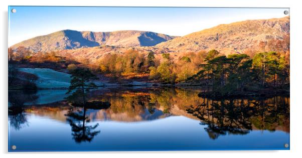 Tarn Hows to Old Man of Coniston Acrylic by Tim Hill
