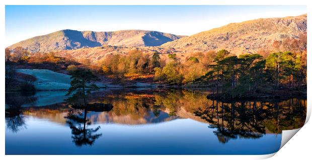 Tarn Hows to Old Man of Coniston Print by Tim Hill