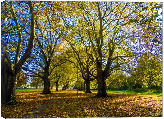 Jesus Green Trees Canvas Print by Simon Hill