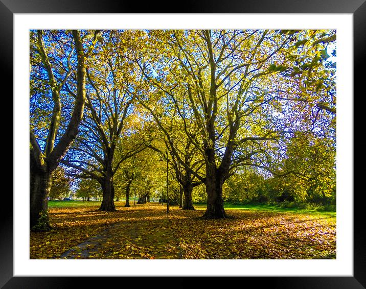 Jesus Green Trees Framed Mounted Print by Simon Hill