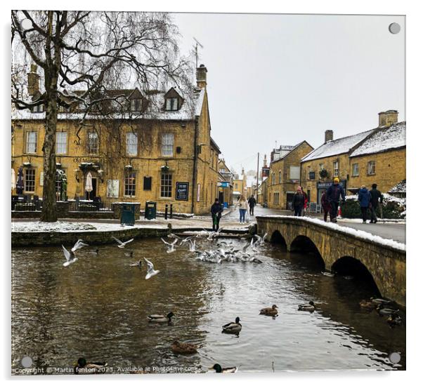 Seagulls in Bourton on the water Acrylic by Martin fenton