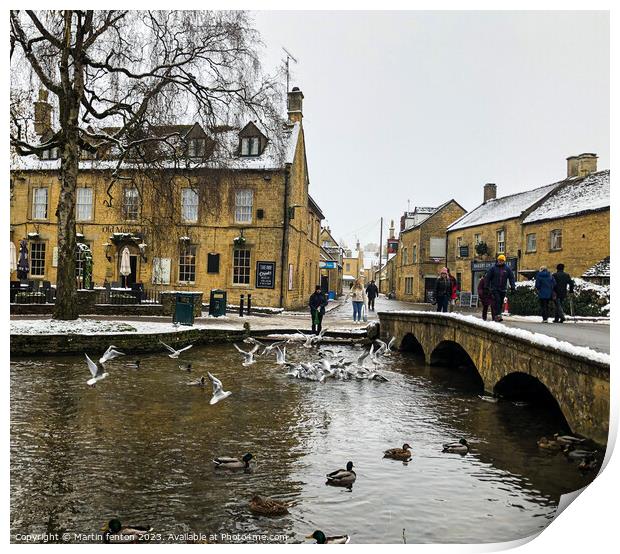 Seagulls in Bourton on the water Print by Martin fenton