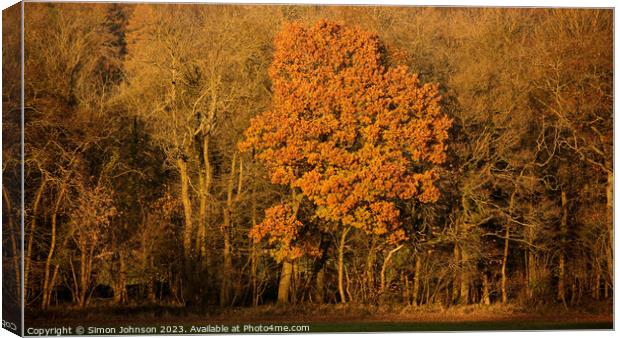 Autumn tree Canvas Print by Simon Johnson