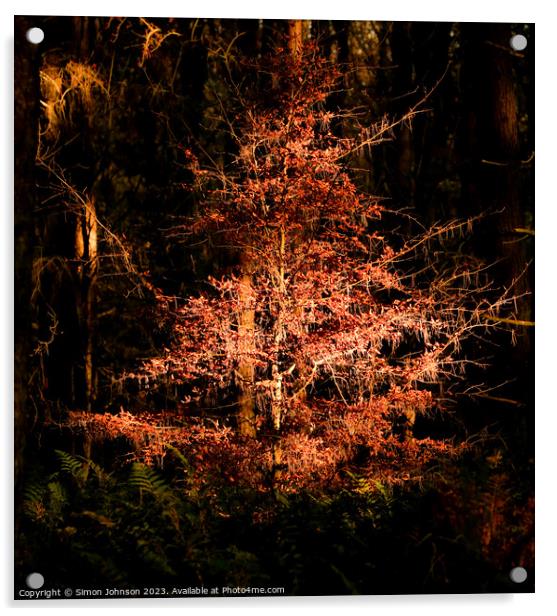 Sunlit Autumn Tree Acrylic by Simon Johnson