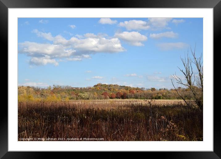 Fall Colors Hiking Trail 1A Framed Mounted Print by Philip Lehman