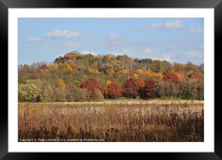Fall Colors Hiking Trail 2A Framed Mounted Print by Philip Lehman