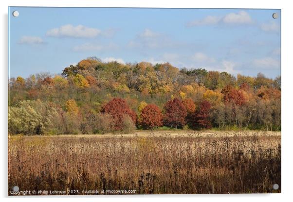 Fall Colors Hiking Trail 2A Acrylic by Philip Lehman