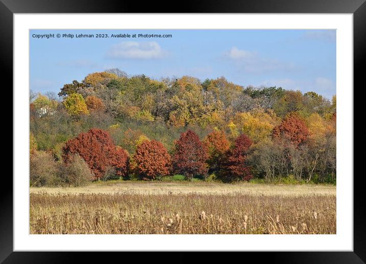 Fall Colors Hiking Trail 5A Framed Mounted Print by Philip Lehman