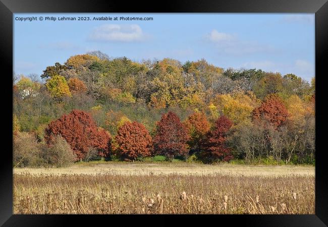 Fall Colors Hiking Trail 5A Framed Print by Philip Lehman