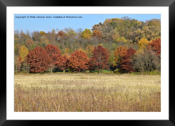 Fall Colors Hiking Trail 9A Framed Mounted Print by Philip Lehman