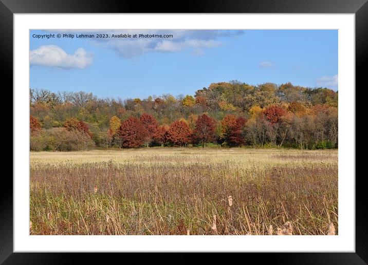 Fall Colors Hiking Trail 10A Framed Mounted Print by Philip Lehman