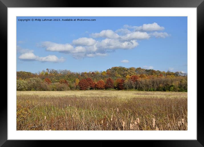 Fall Colors Hiking Trail 15A Framed Mounted Print by Philip Lehman