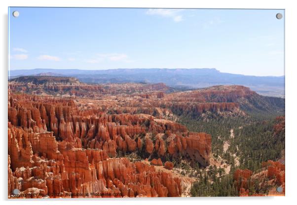 Bryce Canyon National Park Acrylic by Arun 