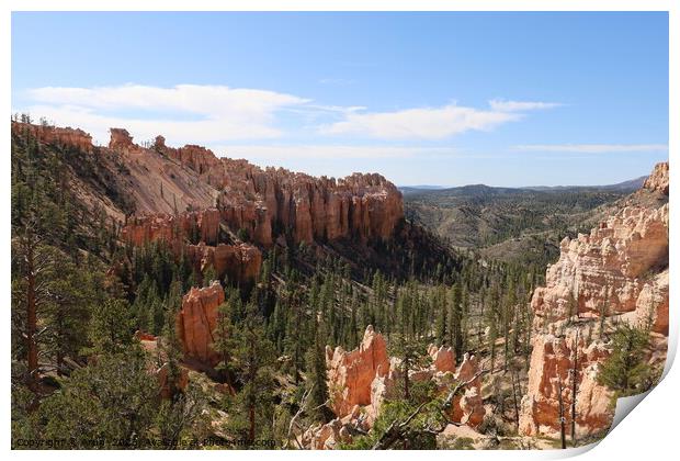 Bryce Canyon National Park Print by Arun 